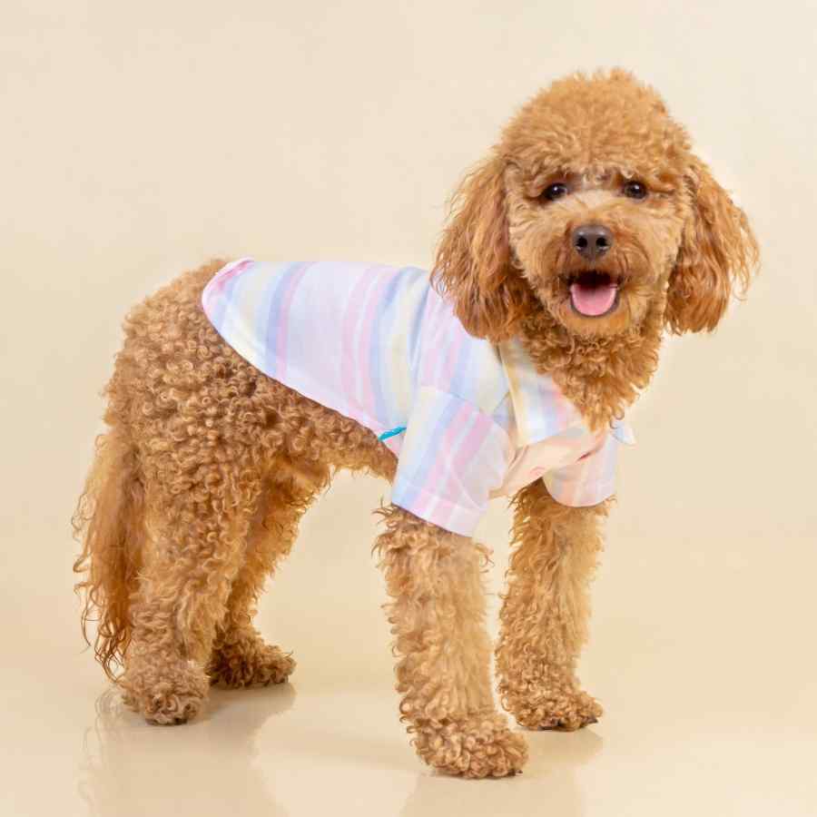 Lmb Camisa Cotton Rayas Avar, , large image number null